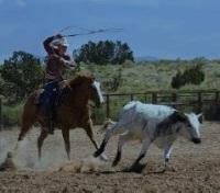 Ranching Activities